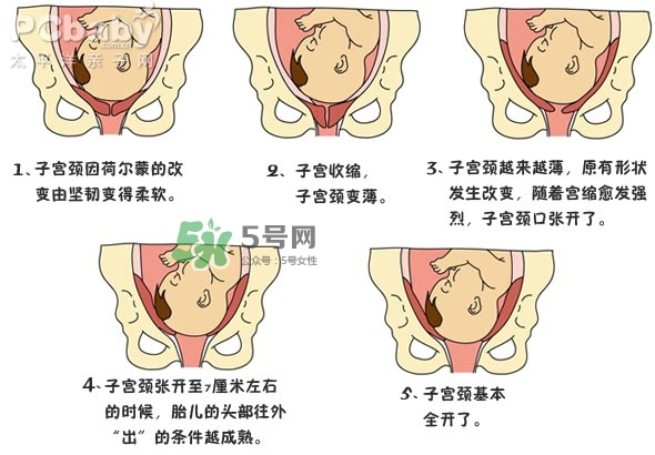 生孩子的過程是怎樣的？生孩子的真實(shí)過程