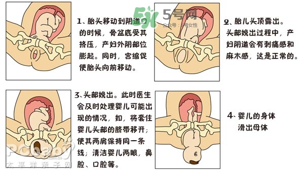 生孩子的過程是怎樣的？生孩子的真實(shí)過程