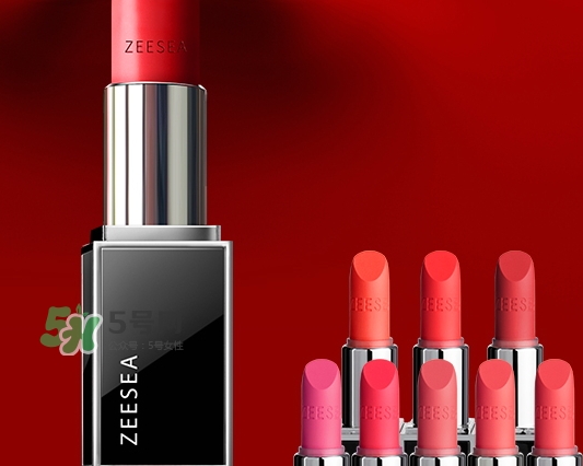 zeesea口紅怎么樣？zeesea口紅多少錢？