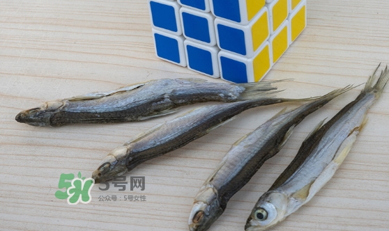 刁子魚是發(fā)物嗎？刁子魚是不是發(fā)物
