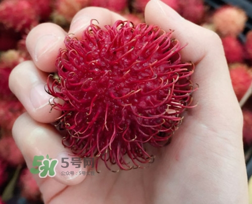 紅毛丹是什么水果？紅毛丹是熱性水果嗎？