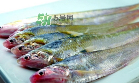 刁子魚是秋刀魚嗎？刁子魚是海魚嗎？