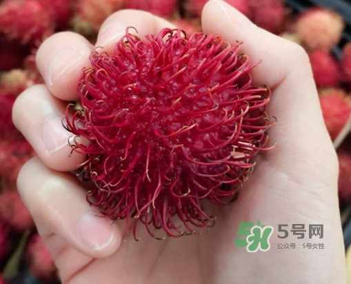 吃紅毛丹對身體有什么好處？紅毛丹有什么營養(yǎng)價值