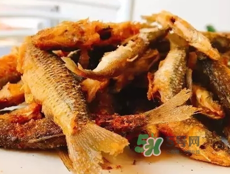 刁子魚多少錢一斤？刁子魚價格表