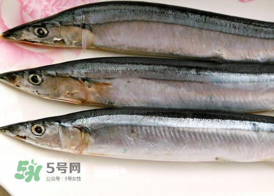 秋刀魚是不是鲅魚？秋刀魚和鲅魚的區(qū)別