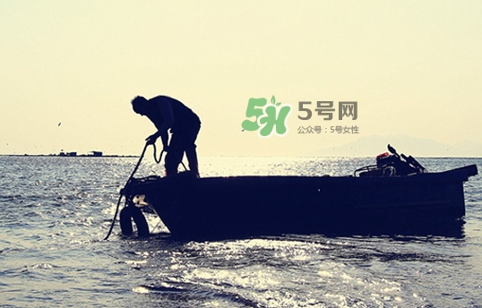 剝皮魚孕婦可以吃嗎？懷孕可以吃剝皮魚嗎？