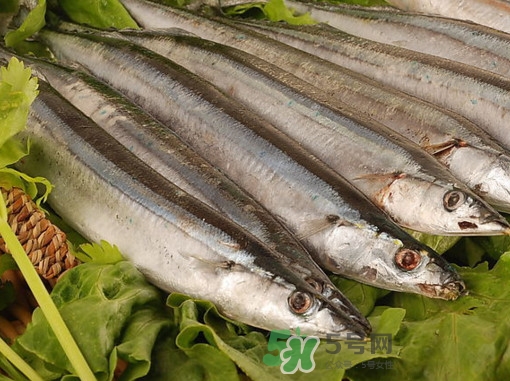 秋刀魚(yú)為什么那么便宜？秋刀魚(yú)為什么叫秋刀魚(yú)
