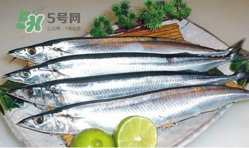 沙丁魚和秋刀魚有什么不一樣？秋刀魚和沙丁魚的區(qū)別