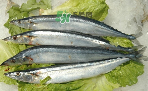 秋刀魚(yú)為什么那么便宜？秋刀魚(yú)為什么叫秋刀魚(yú)