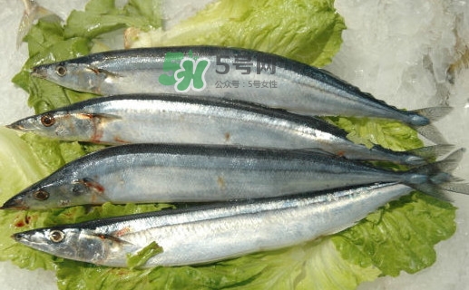 秋刀魚有魚鱗嗎？秋刀魚有寄生蟲嗎