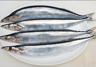 秋刀魚是海魚嗎？秋刀魚是淡水魚還是海魚