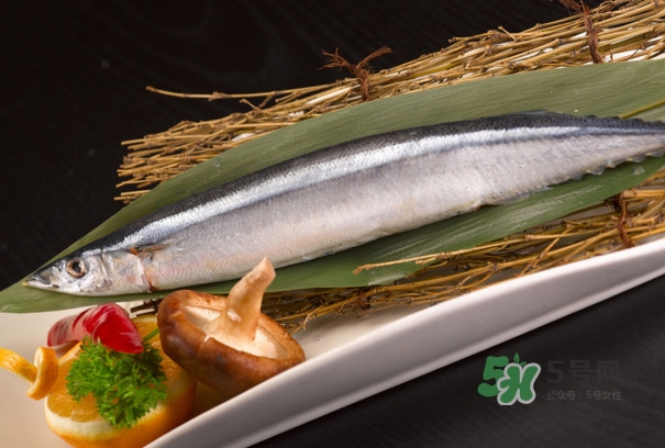 秋刀魚是不是鲅魚？秋刀魚和鲅魚的區(qū)別