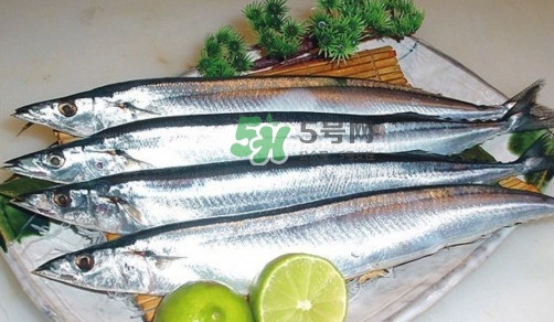 秋刀魚是刀魚嗎？秋刀魚和刀魚的區(qū)別