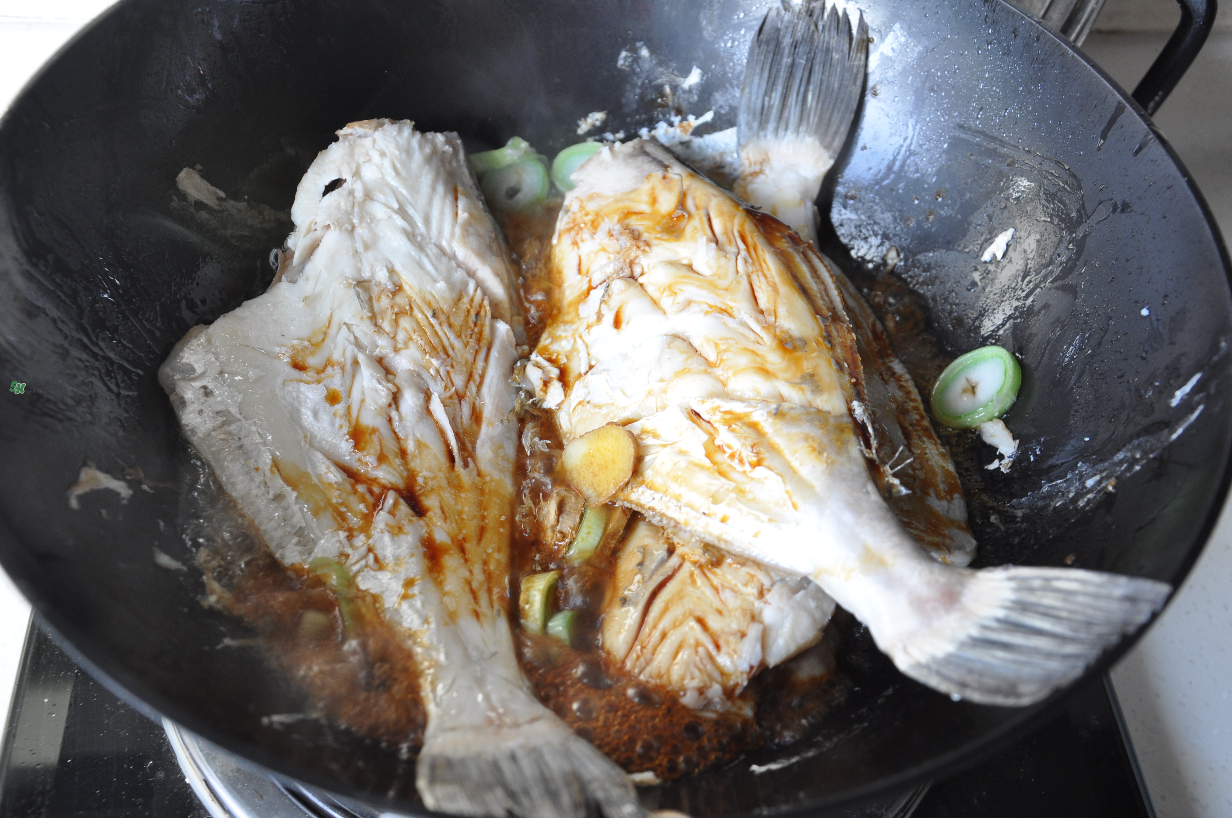 剝皮魚孕婦可以吃嗎？懷孕可以吃剝皮魚嗎？