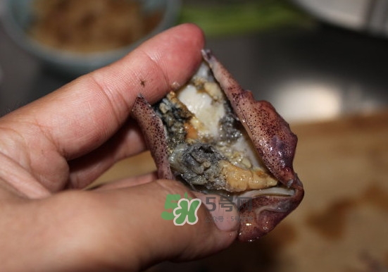 筆管魚怎么清洗？筆管魚怎么處理