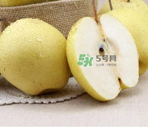 雪花梨什么時(shí)候成熟？雪花梨幾月份成熟？