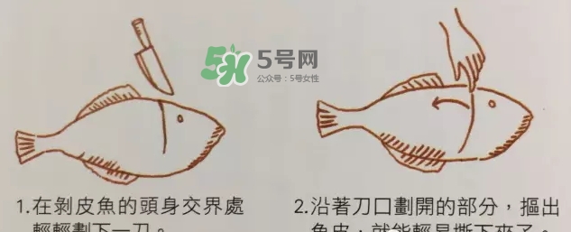 剝皮魚為什么要剝皮？剝皮魚的皮有毒嗎？