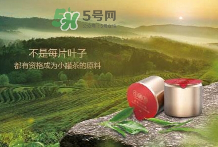 小罐茶是什么茶？小罐茶是哪八種茶？