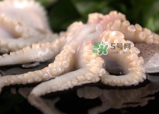 章魚(yú)有幾只腳？章魚(yú)有幾個(gè)爪子