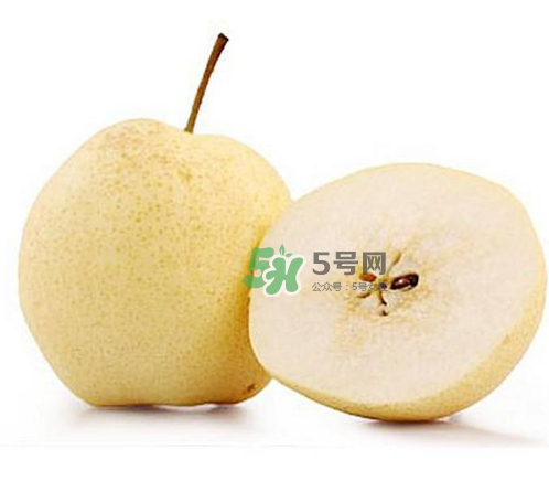 貢梨是雪梨嗎？貢梨和雪梨的區(qū)別