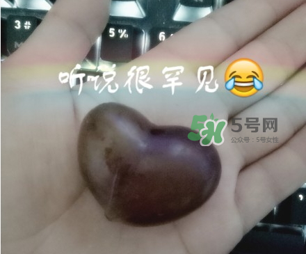 心形葡萄能吃嗎？心形葡萄和普通葡萄的區(qū)別