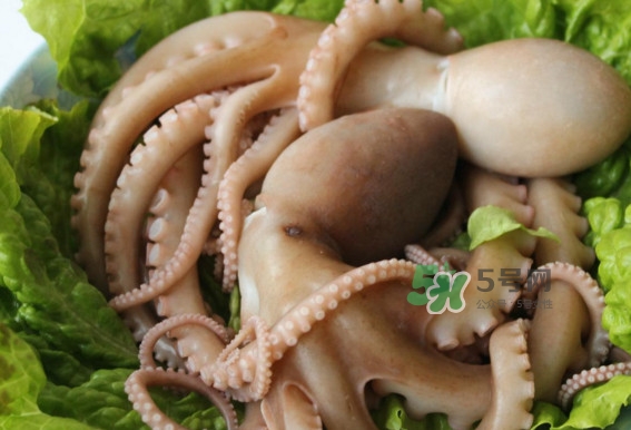 八爪魚的頭能吃嗎？八爪魚的頭里面是什么