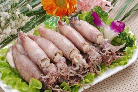筆管魚怎么做好吃？筆管魚有什么營(yíng)養(yǎng)