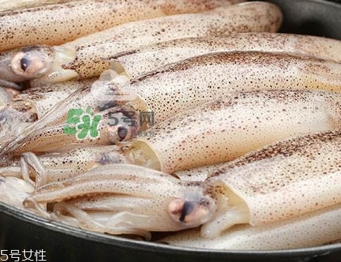 海兔子是什么？海兔子是墨魚嗎