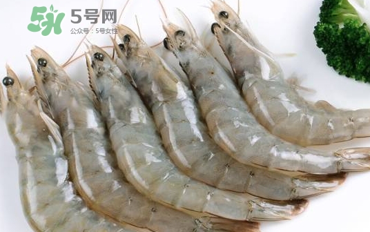 厄瓜多爾蝦是海蝦嗎？厄瓜多爾蝦好吃嗎？