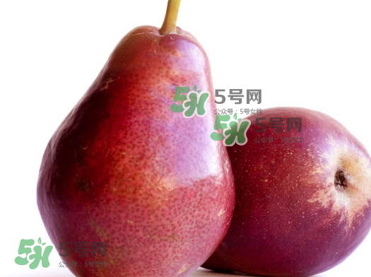 啤梨放軟了才能吃嗎？啤梨的功效與作用