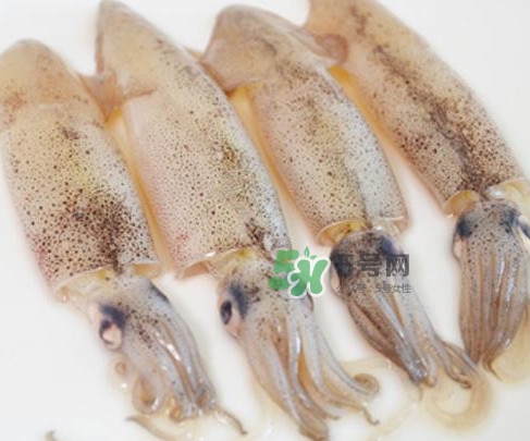 筆管魚是什么魚？筆管魚怎么吃