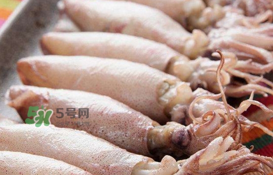海兔子是小魷魚嗎？海兔子和魷魚的區(qū)別