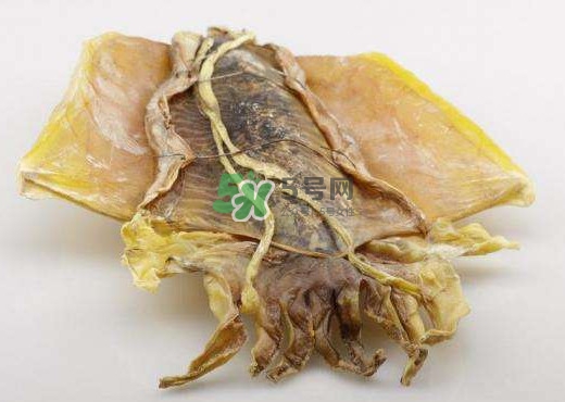 魷魚干是生的還是熟的？魷魚干是海鮮嗎