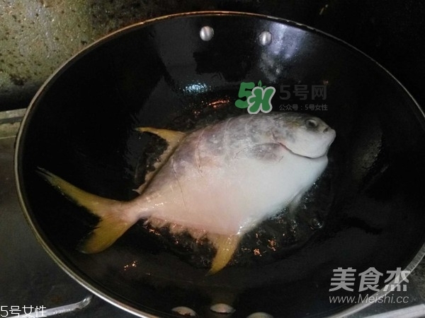 金鯧魚是海魚嗎？金鯧魚的刺多嗎？