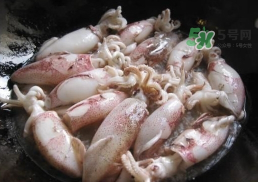 筆管魚是魷魚嗎？筆管魚和魷魚的區(qū)別