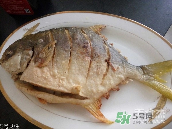 金鯧魚是海魚嗎？金鯧魚的刺多嗎？