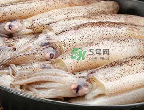 筆管魚是什么魚？筆管魚怎么吃
