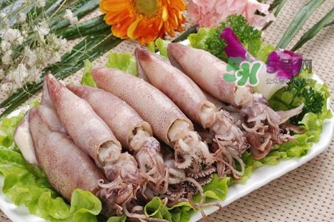 筆管魚是魷魚嗎？筆管魚和魷魚的區(qū)別