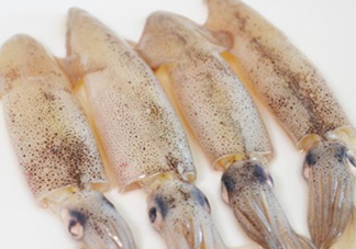 筆管魚是什么魚？筆管魚怎么吃