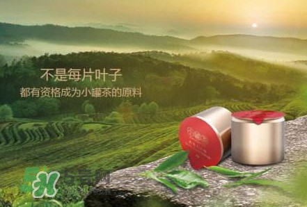 小罐茶怎么樣？小罐茶真的有那么好么