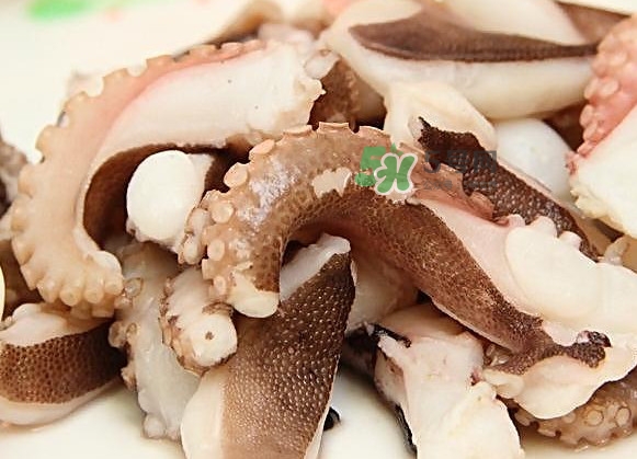 章魚(yú)有幾只腳？章魚(yú)有幾個(gè)爪子