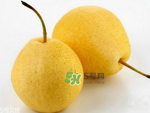 貢梨可以做冰糖雪梨嗎？貢梨可以燉川貝嗎？