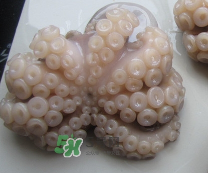 章魚有牙齒嗎？章魚天敵是什么