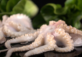 章魚有幾只腳？章魚有幾個爪子
