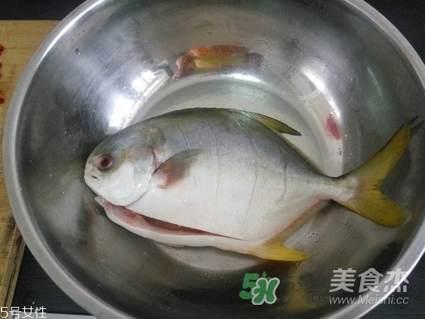 金鯧魚是海魚嗎？金鯧魚的刺多嗎？
