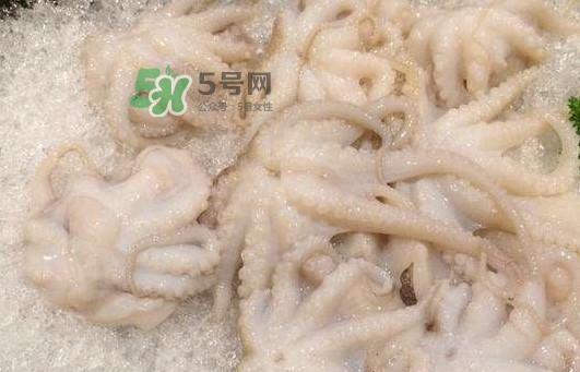 八爪魚的頭能吃嗎？八爪魚的頭里面是什么