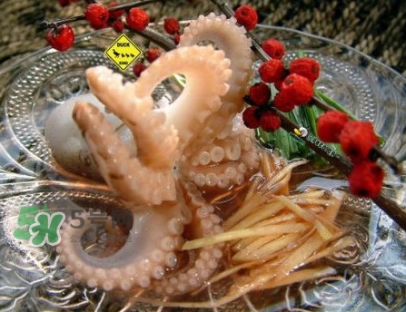 章魚(yú)有幾只腳？章魚(yú)有幾個(gè)爪子