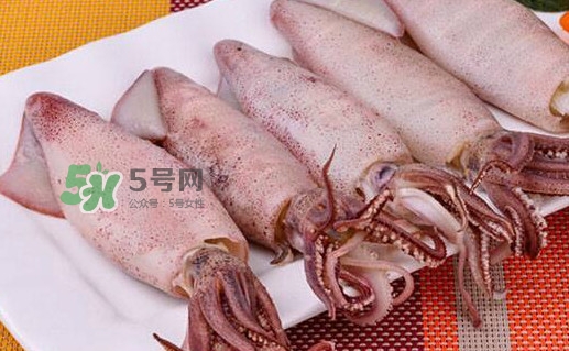 筆管魚怎么做好吃？筆管魚有什么營(yíng)養(yǎng)