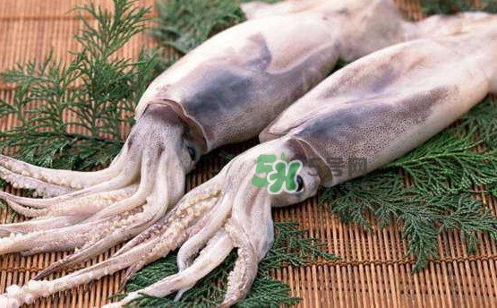 魷魚和雞蛋可以同時食用？魷魚不能和什么一起吃