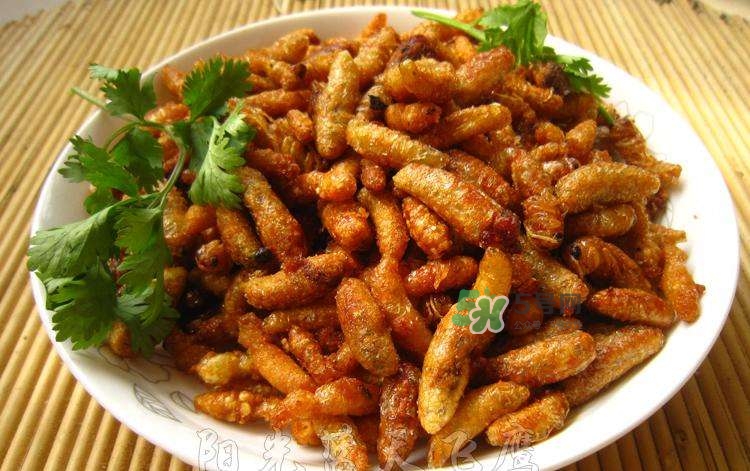 蜂蛹可以生吃嗎？蜂蛹的營養(yǎng)價(jià)值